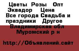 Цветы. Розы.  Опт.  Эквадор. › Цена ­ 50 - Все города Свадьба и праздники » Другое   . Владимирская обл.,Муромский р-н